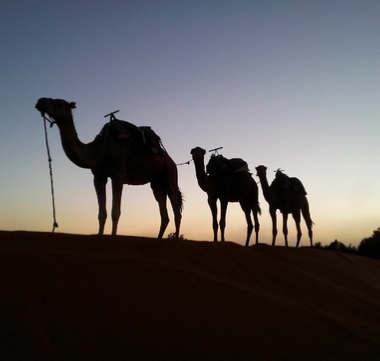 CIRCUIT DESERT Au Maroc