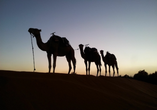 CIRCUIT DESERT Au Maroc