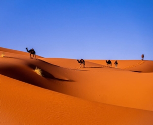 Circuit Desert RÊVE De Dunes 4 Jours