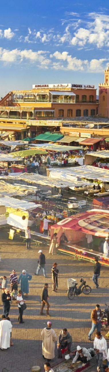 Marrakech Day Trips