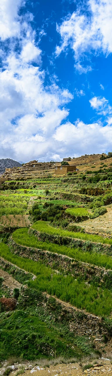 Marrakech Day Trip