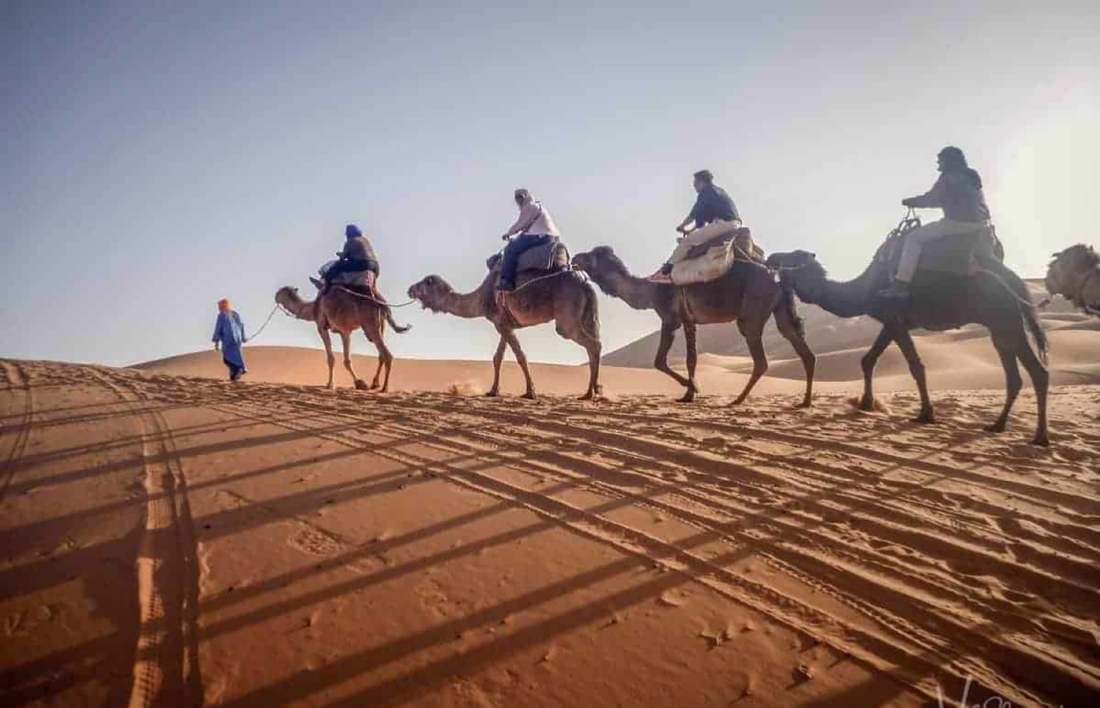 Tour Ouarzazate