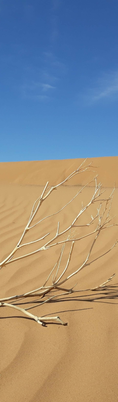 Desert Sans Frontiere - Morocco Tours